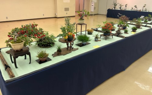 市民盆栽展バナー