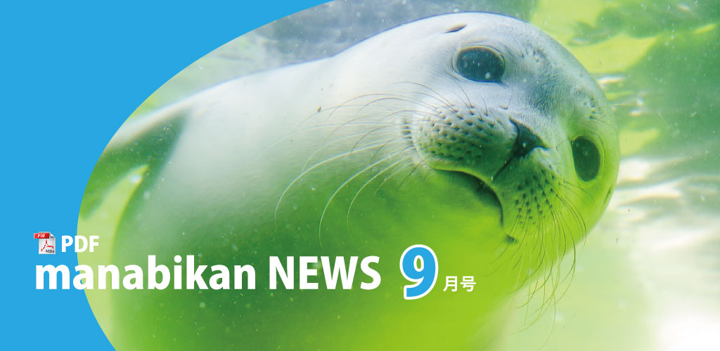 画像：まなびかんニュース最新号